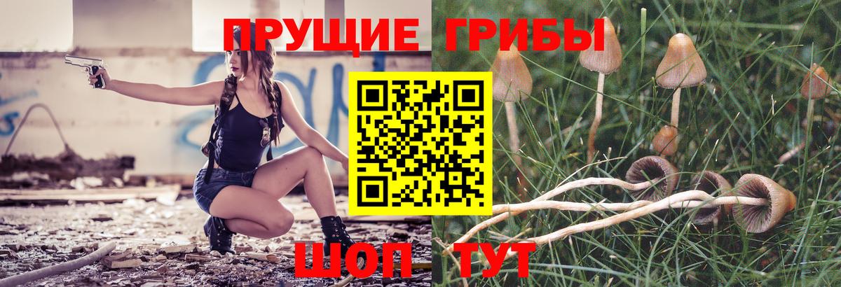 Псилоцибиновые грибы Psilocybine cubensis Калуга