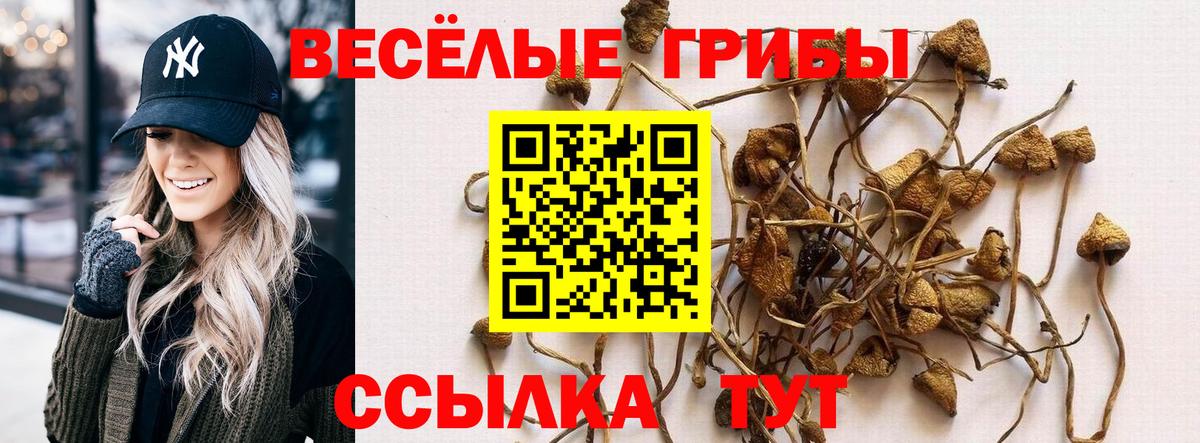 Псилоцибиновые грибы MAGIC MUSHROOMS  Вход с VPN  Калуга 